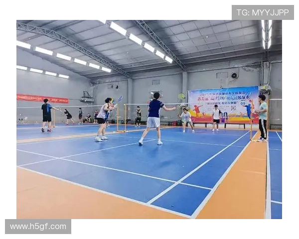 广州羽毛球队与武汉羽毛球队赛后分析力量对比与战术探讨 广州羽毛球队与武汉羽毛球队赛后分析力量对比与战术探讨