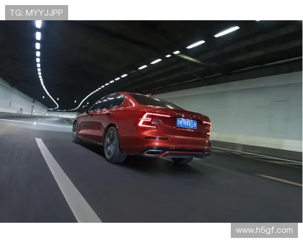 广州乒乓球队的独特节奏与深度解析乒乓球的魅力与技巧 广州乒乓球队的独特节奏与深度解析乒乓球的魅力与技巧