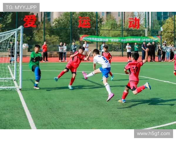 纹鲨鱼的足球明星如何在绿茵场上展现独特魅力与风采