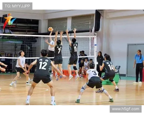 杭州排球队在大师赛中的默契配合展现团队实力与战术智慧